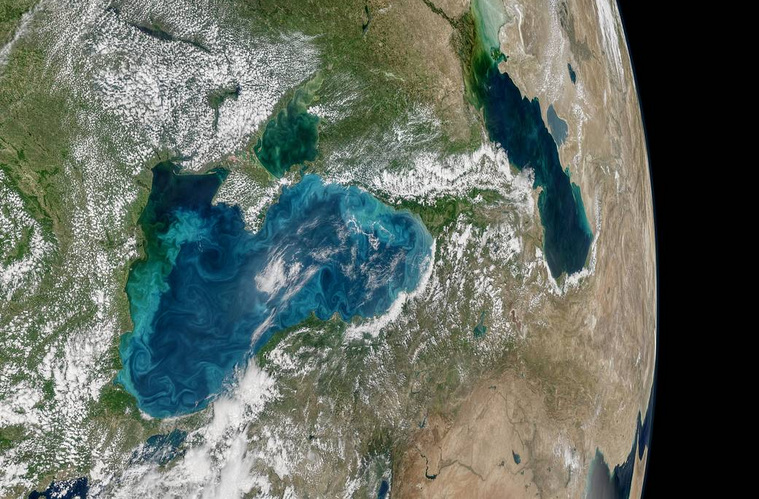 Черное море могло изменить свой цвет из-за нашествия фитопланктона
