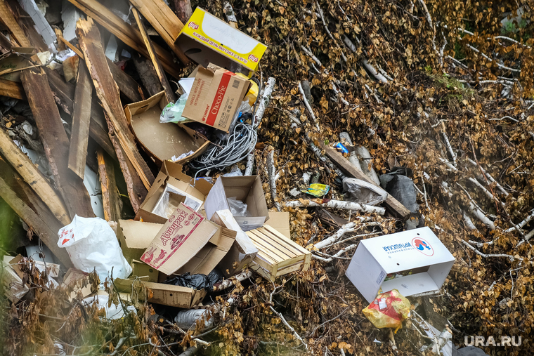 В карьер сваливают ТБО местных магазинов