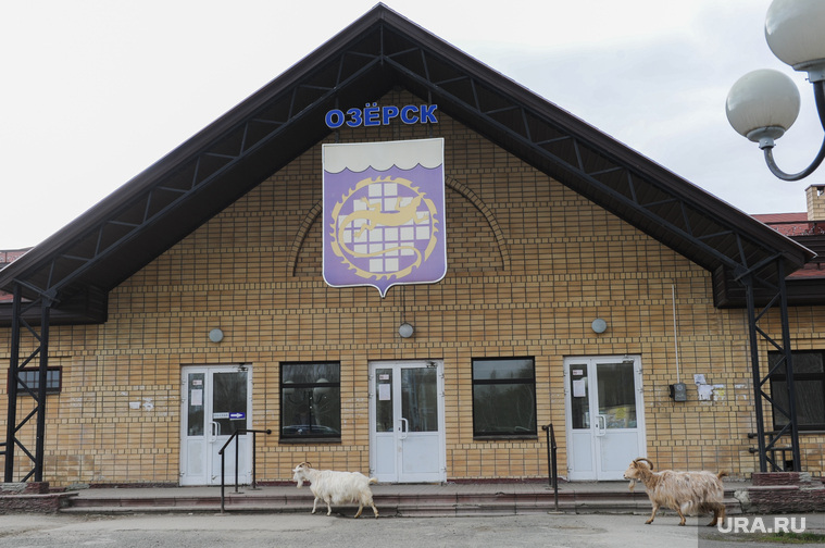 Суд Цыбко Озерск Челябинск, озерские козлы