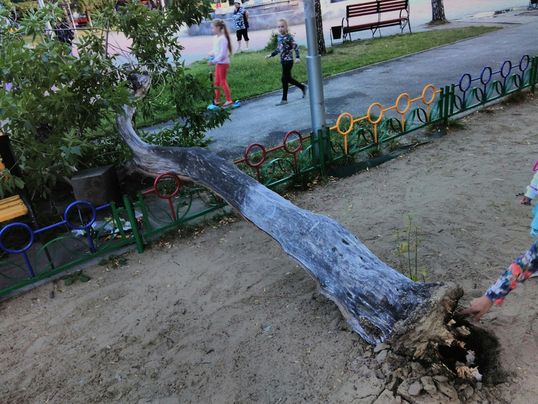 За обслуживание парка отвечает МУП "ЦПКиО"
