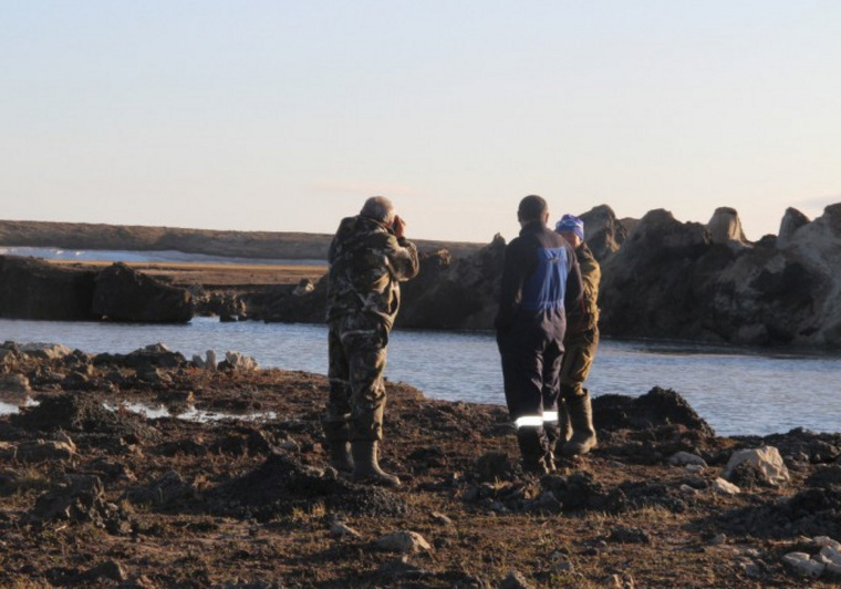 В ГКУ, который станет частью Научного центра изучения Арктики, трудились всего пять человек