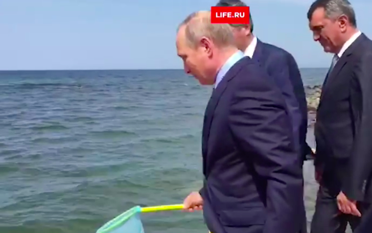 Путин выпустил 50 тысяч рыб