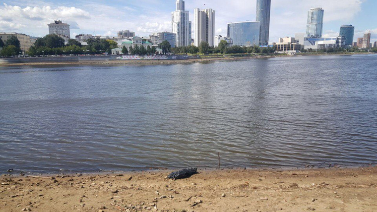 Тело обнаружили на обмелевшем дне городского пруда