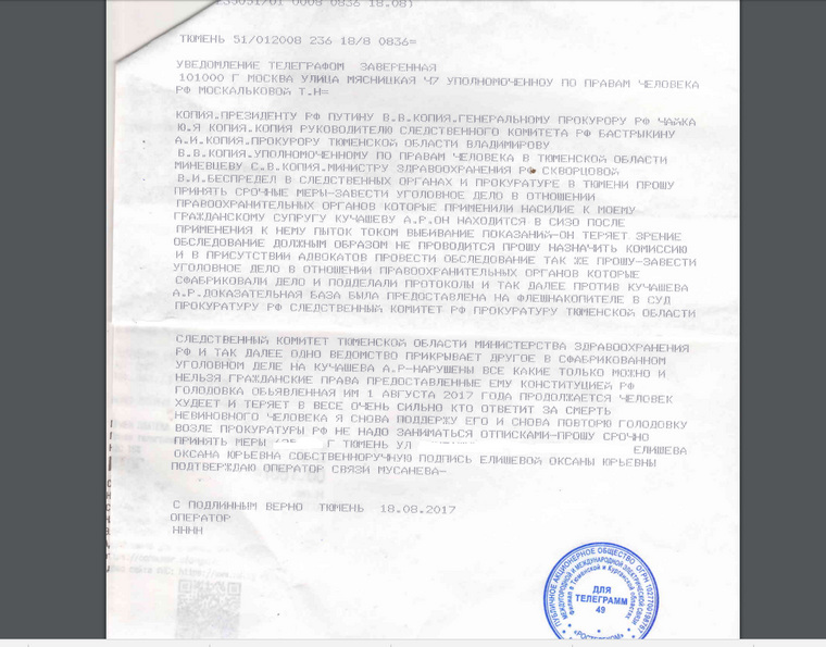 Тюменка отправила копии телеграммы президенту страны, генпрокурору и руководителю СКР.