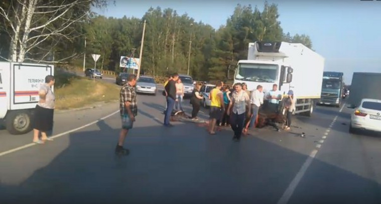 Лошадь при ДТП не выжила