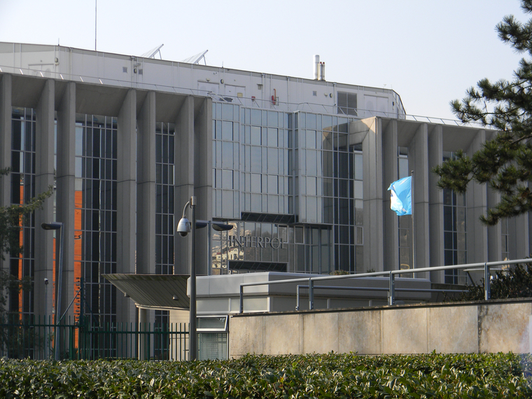 Открытая лицензия 10.06.2015. Interpol, интерпол, interpol