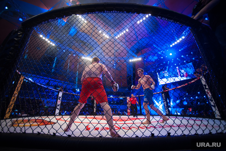 Турнир по смешанным единоборствам Fight Nights Global. Екатеринбург, бой, клетка, смешанные единоборства, поединок, бои без правил, fight nights, файт найт