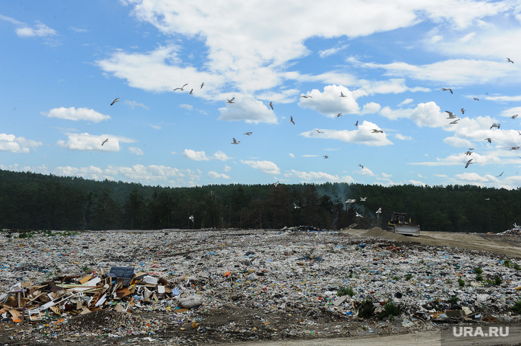 Репортаж по мусорным войнам из Миасса, васильевская свалка