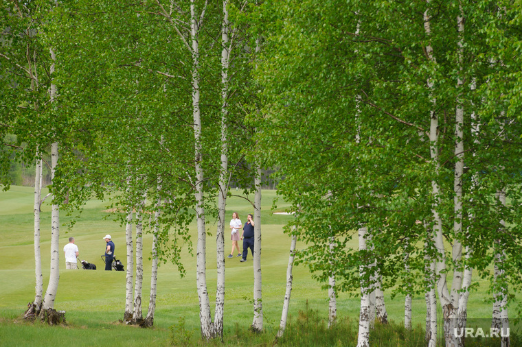 Консулы дипмиссий Екатеринбурга играют в гольф-клубе Pine Creek. Сысерть, летние виды спорта, гольф, хобби, природа урала, поле для гольфа, береза