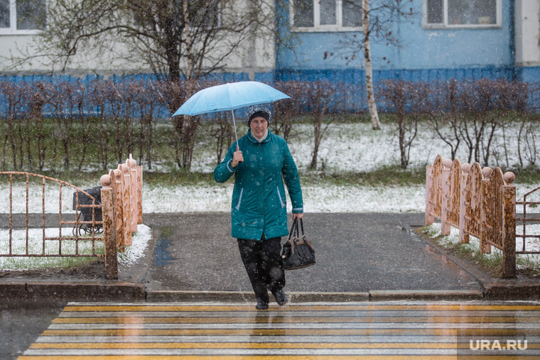 Снегопад в мае. Сургут, пешеходный переход, пешеход, женщина с зонтом, снегопад, переходит дорогу