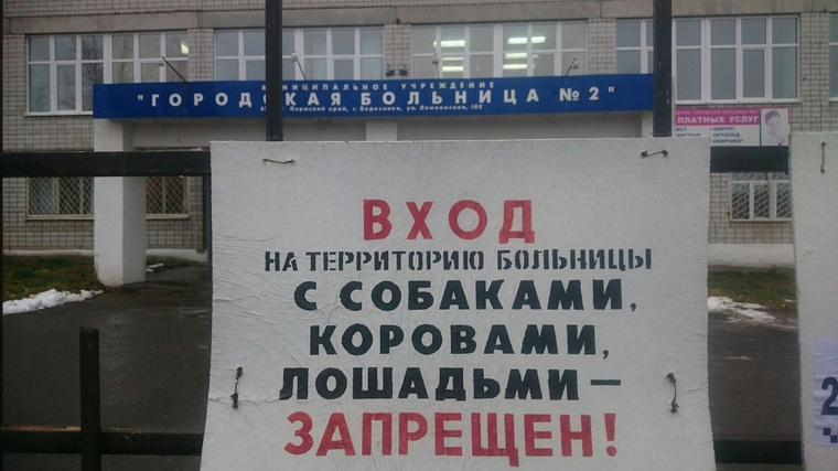 Врачи надеются избежать встречи с домашними животными пациентов