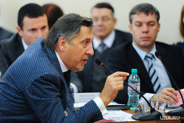 У большинства депутатов, как у Владимира Бодрова (на фото), незначительные нарушения