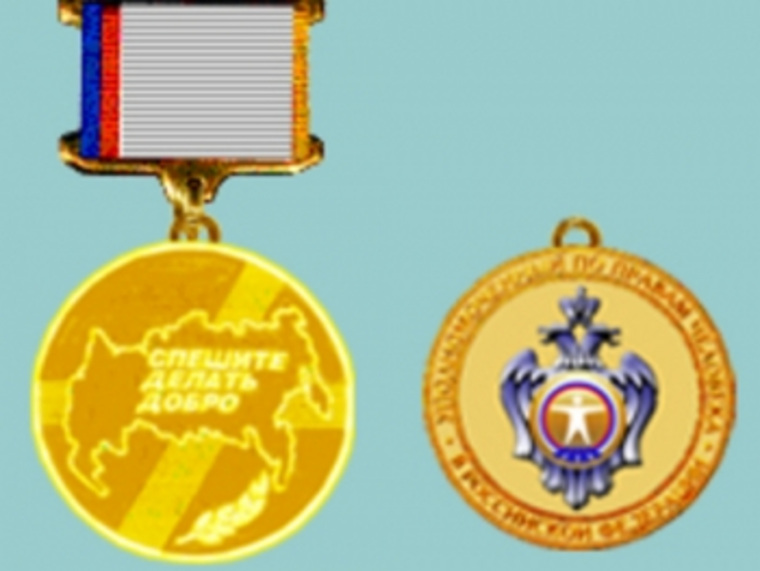 Медаль «Спешите делать добро» вручается за вклад в дело защиты прав и свобод человека и гражданина