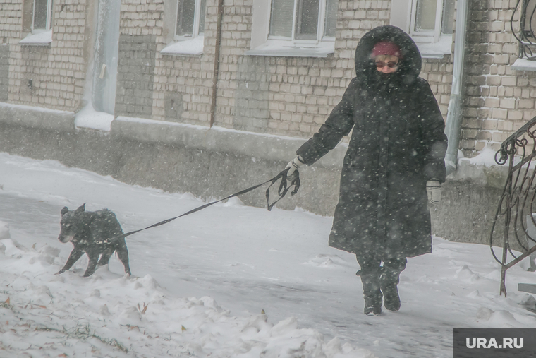 Город в снегу. Курган, снегопад, ветер, пурга, снег в городе, женщина с собакой