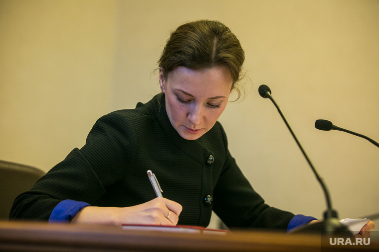 Заседание Межведомственной рабочей группы при Уполномоченном при Президенте России по правам ребенка. Москва, кузнецова анна