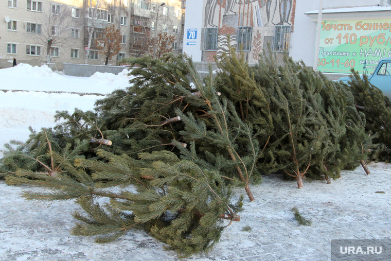 Подготовка к Новому году, продажа елок
Курган, елки