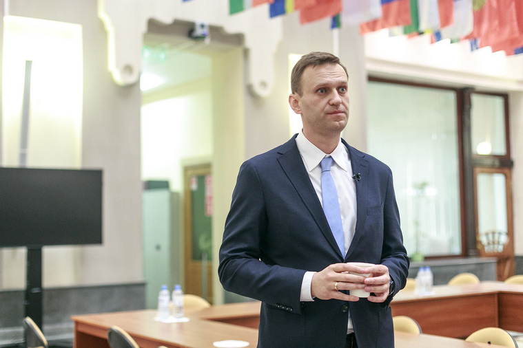 Навальный оказался не единственным блогером с судимостью, который пришел в ЦИК