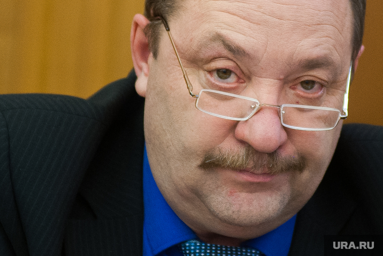 Заседание Екатеринбургской городской думы. Екатеринбург, шадрин роман