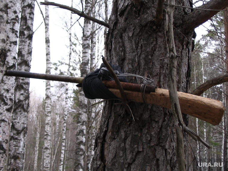 Клипарт. Челябинск., лес, ружье, обрез