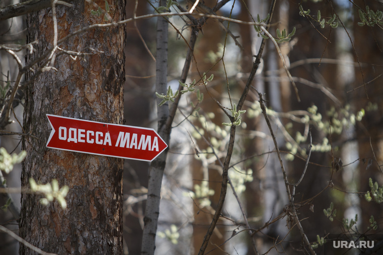 Родительский день. Северное и Широкореченское кладбища.
Екатеринбург, стрелка, направление, могилы, одесса мама