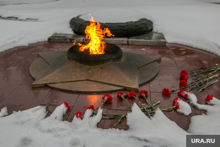 Город в снегу. Курган, вечный огонь, аллея славы, замерзшие цветы