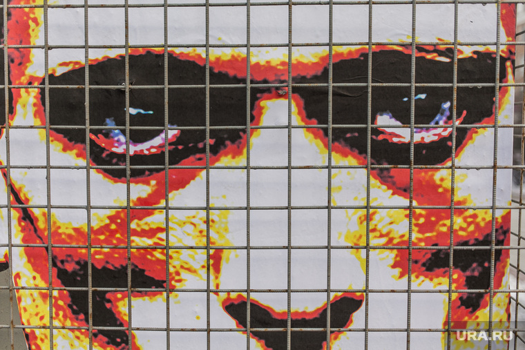 Стрит-арт пермского художника Александра Жунева, посвященная художнику-акционисту Павленскому. Москва, стрит-арт, павленский петр