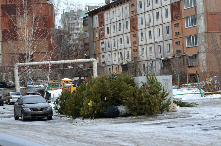 Курганцы переживают за деревья, которые оказались в мусорках после праздника