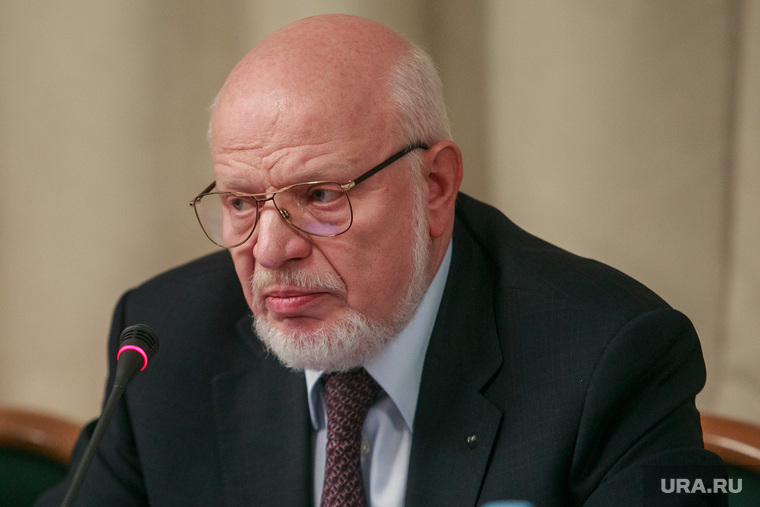 Заседание рабочей группы по гражданству В ГД РФ. Москва, портрет, федотов михаил