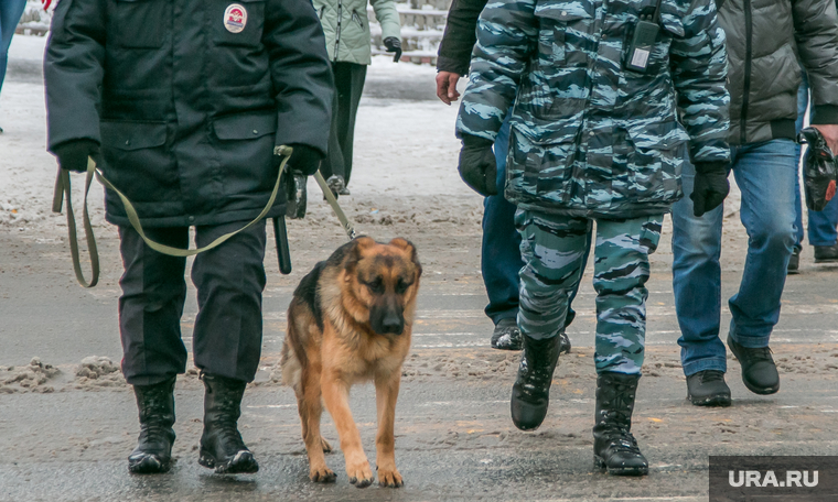 Завод в Шадринске накрыли тюменские полицейские совместно с курганскими коллегами