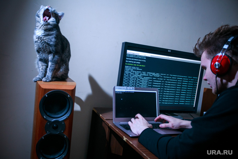 Хакер, IT (иллюстрации), кошка, музыка, кот, пение, питомец, певец, програмист, домашнее животное, музыкальные колонки, компьютер, хакер, компьютерные сети