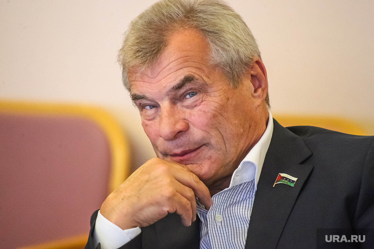 Владимир Ульянов заступился за будущего мирового судью