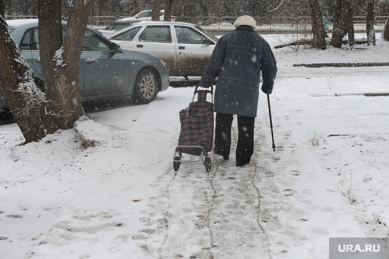 Снегопад в конце марта. Челябинск, пенсионер, снегопад, старушка, тележка