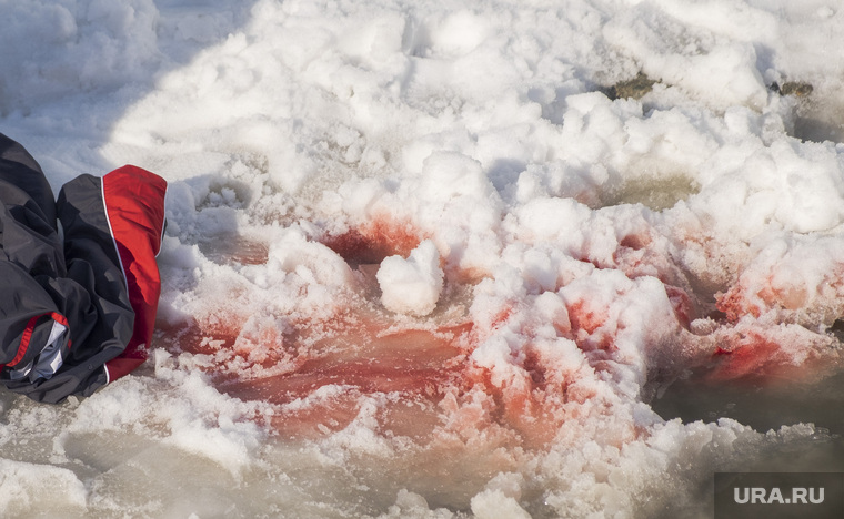 Альпинист сорвался с крыши в Салехарде, место проишествия, кровь на снегу