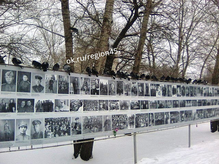 Насытившиеся птицы отдыхают на памятных местах