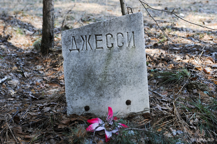 Последний приют домашних питомцев соседствует с городским кладбищем Ноябрьска