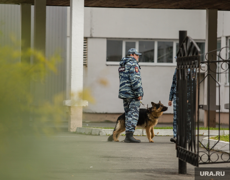 Эвакуация 18 школы после обнаружения предмета похожего на взрывное устройство. Сургут, кинолог, служебная собака, школа18, бомба в школе