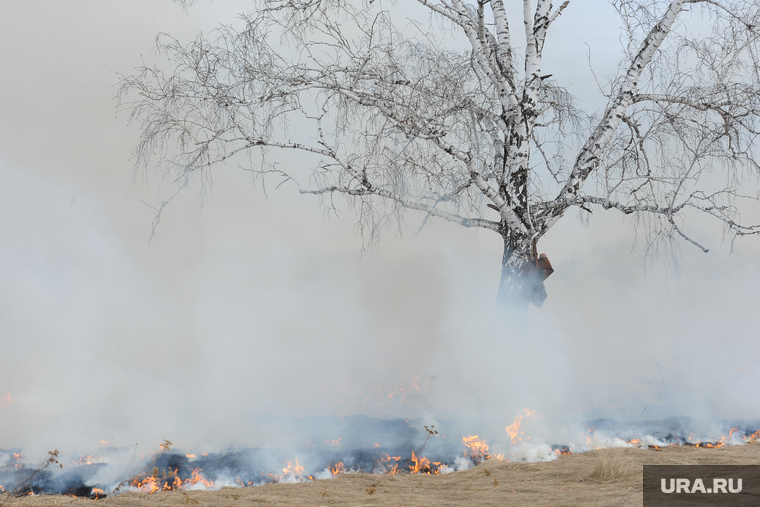 Лесные пожары. Учения МЧС. Челябинск, лесной пожар