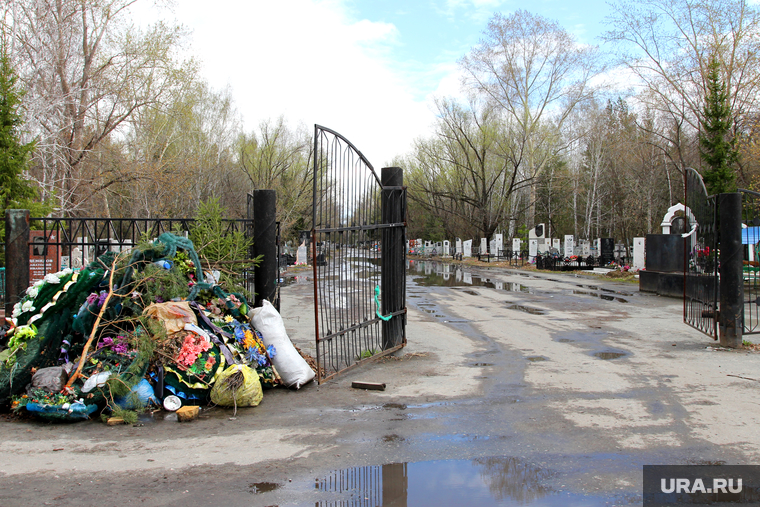 Рябковское кладбище
Православная церковь.
Курган, мусор, кладбище рябково, центральная аллея, помойка