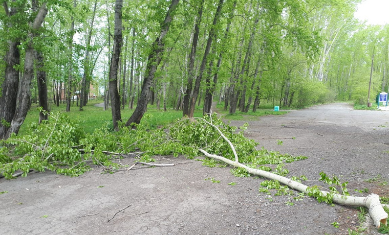 Девушка гуляла со своими детьми в парке возле Дома культуры