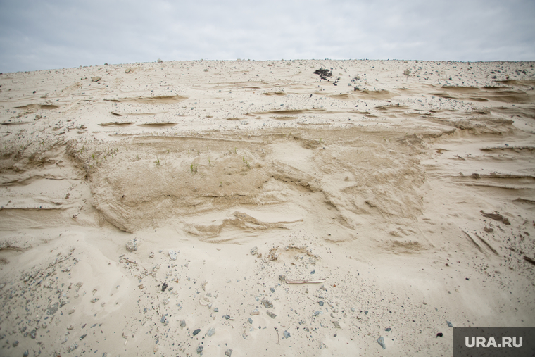 Взятие проб песка по уголовному делу против бывшего главы Сургута Попова Д.В. Сургут, песок, песчаная насыпь