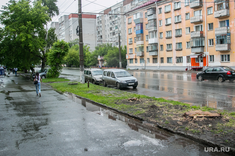 Спиленные деревья. Курган, улица коли мяготина, спиленные деревья, пеньки