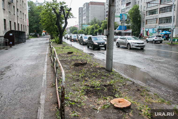 Очистке подверглись десятки улиц в центре города