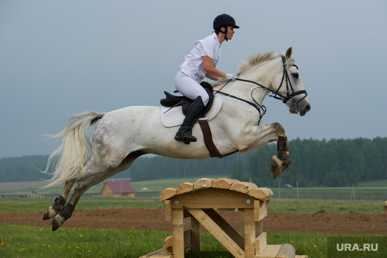Областной Сабантуй - 2016. Кадниково, лошади, скачки, верховая езда