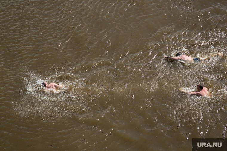 Заплыв моржей посвященный Дню победы. Тюмень, моржи, река кама, купание, заплыв