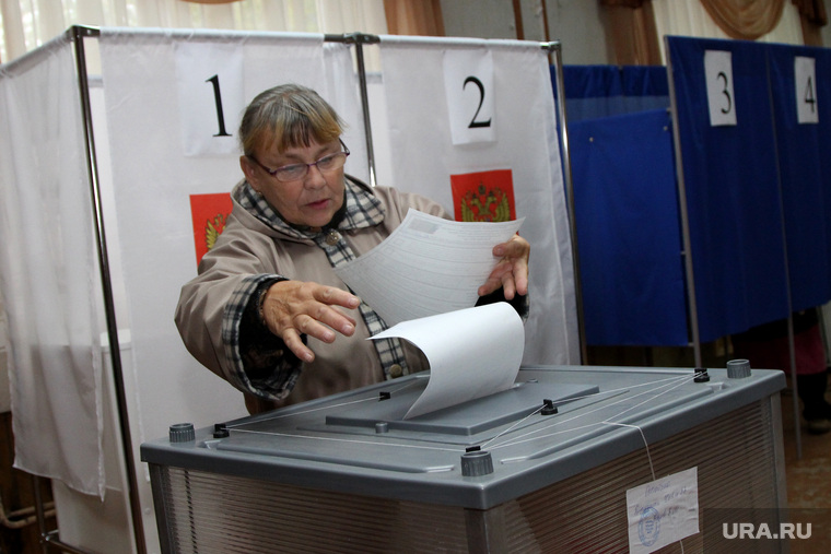 Выборы 2016. Курган, голосование, избиратели