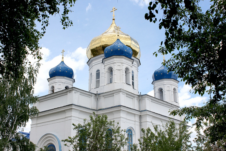 Монахини заведут собаку для охраны птиц