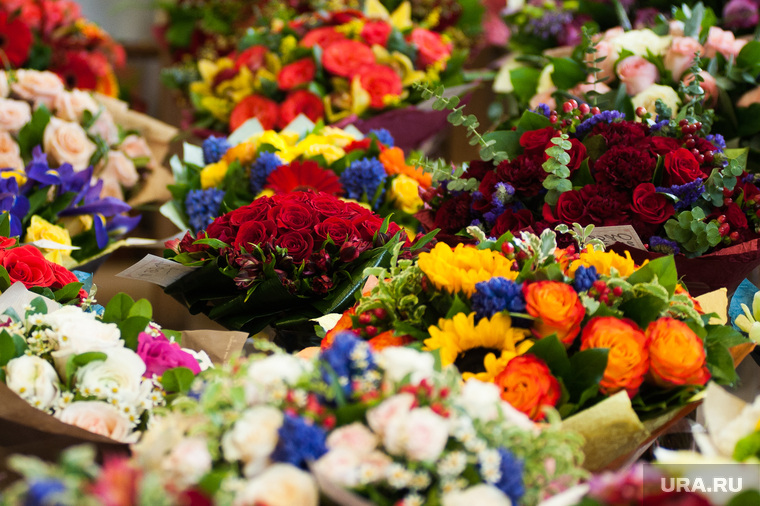 Цветочные магазины. Екатеринбург, растение, 8марта, цветочный магазин, цветы