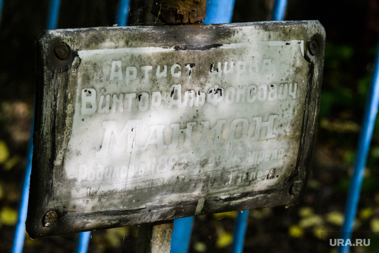 Согласно Википедии, Киркорова и Манионов все же связывают родственные узы