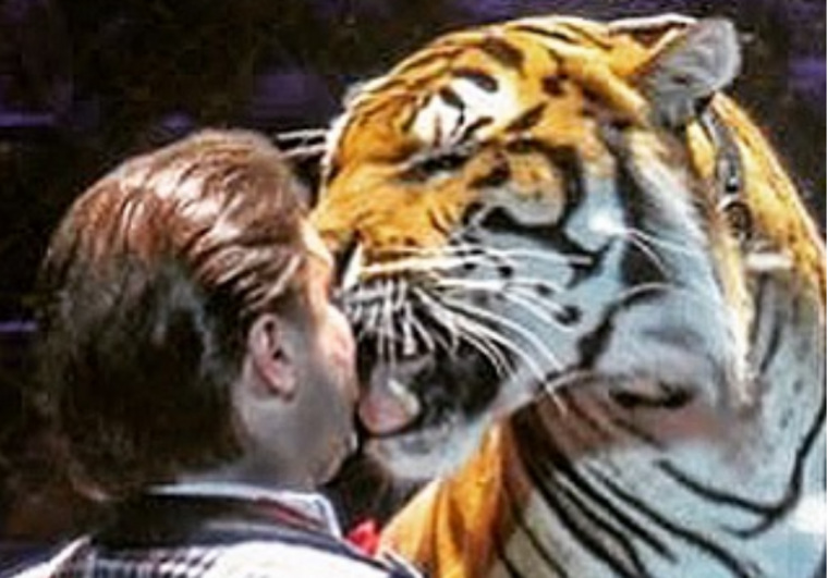 Укротитель тигров встал на сторону циркачей