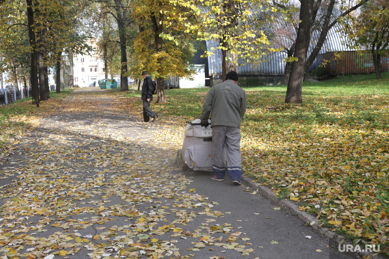 Осень жанровые фотографии Пермь, дворник, листва на тротуаре, осень